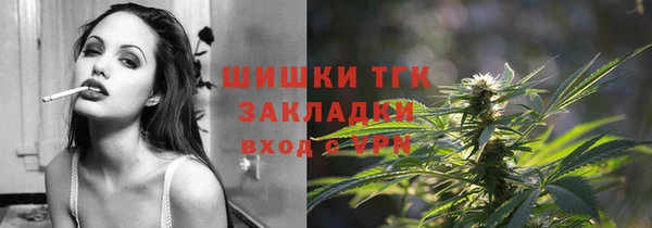 амф Липки