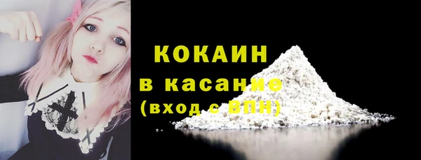 амф Липки