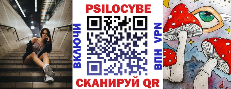 закладка  Яблоновский  Псилоцибиновые грибы GOLDEN TEACHER 